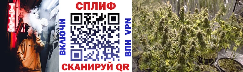  Cocaine Орехово-Зуево