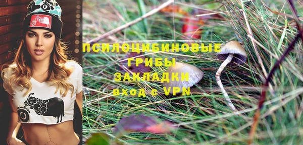 прущий лед Волосово